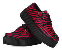 Red Zebra Viva Mondo Creeper